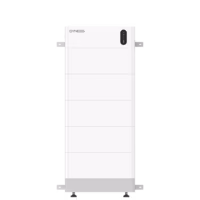 Dyness Battery Package TOWER PRO TP19 19,2kWh